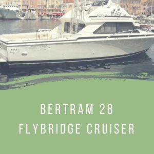 Bertram 28 Flybridge Cruiser