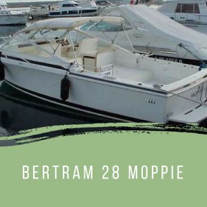 Bertram 28 Moppie