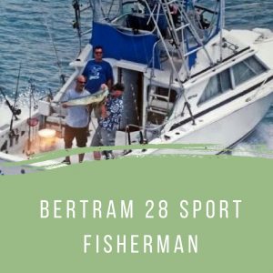 Bertram 28 Sport Fisherman