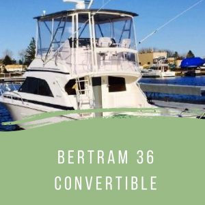 Bertram 36 Convertible