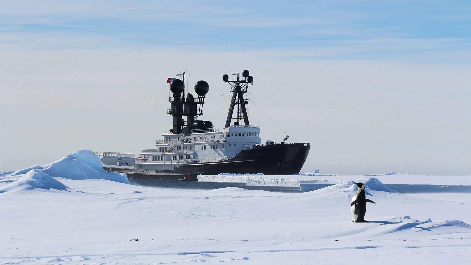arctic p yacht
