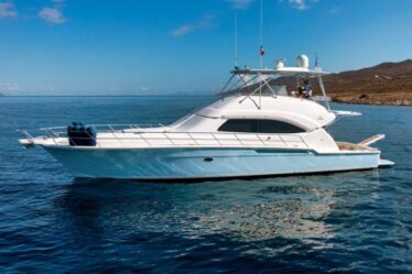 Bertram Boat Model Review: Why the 39CC Stands Out Offshore